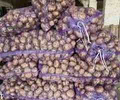 Продажа оптовых партий овощных культур из Алтайского края