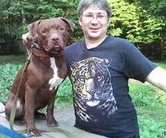 Кинолог: профессиональная дрессировка собак