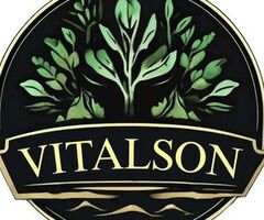 Виталсон. Аренда Спецтехники. Экскаватор. Погрузчик. Самосвал. Земляные работы. Песок. Щебень. Грунт. Асфальт. Уголь ДПК. Снос домов. Демонтаж. Вывоз строительного мусора и грунта. Уборка и вывоз снега. Чехов. Серпухов. Ступино. Подольск