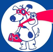 Ветеринария у Вас на дому по вызову